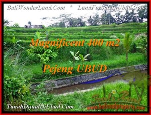 Magnificent PROPERTY LAND IN UBUD FOR SALE TJUB483