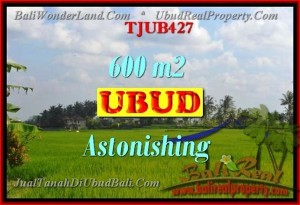 Magnificent 600 m2 LAND FOR SALE IN UBUD BALI TJUB427
