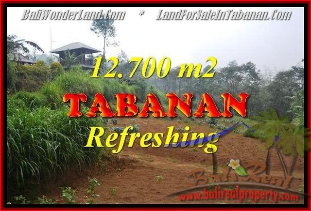 Affordable PROPERTY LAND FOR SALE IN TABANAN TJTB167