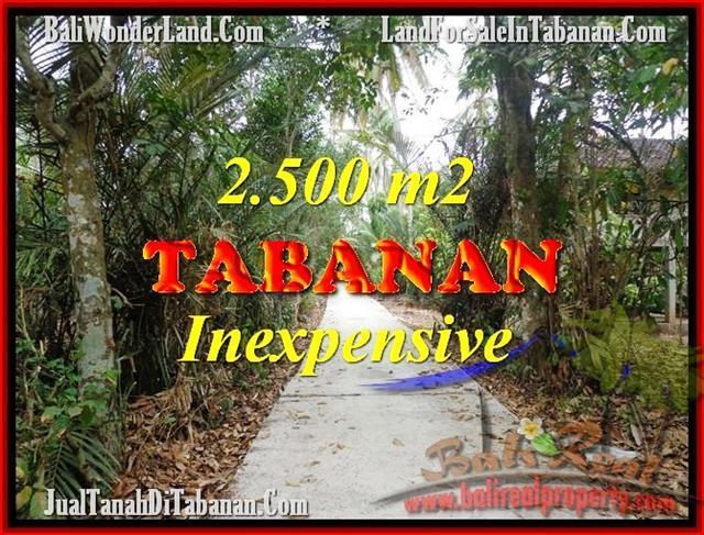 Magnificent TABANAN BALI 2,500 m2 LAND FOR SALE TJTB160