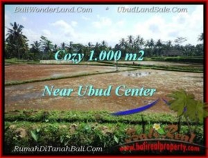 Exotic PROPERTY LAND IN UBUD FOR SALE TJUB501