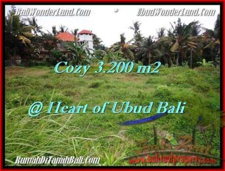 Affordable PROPERTY 3,200 m2 LAND SALE IN UBUD BALI TJUB510