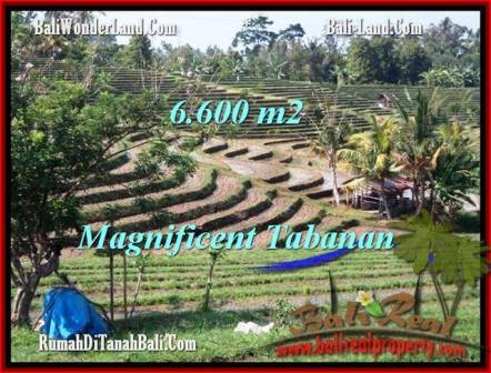 Magnificent 6,600 m2 LAND IN TABANAN BALI FOR SALE TJTB204
