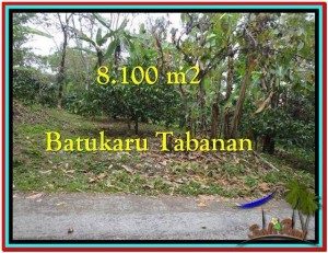 Affordable 8.100 m2 LAND FOR SALE IN TABANAN BALI TJTB212