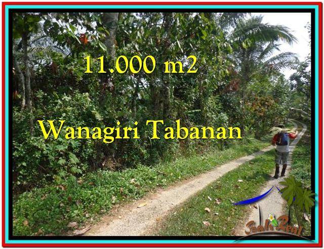 Affordable PROPERTY LAND FOR SALE IN TABANAN TJTB213