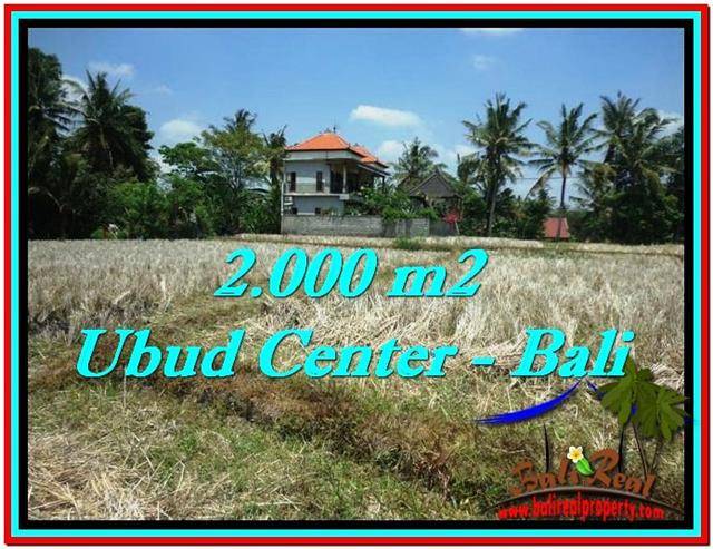 Affordable 2,000 m2 LAND IN UBUD BALI FOR SALE TJUB524