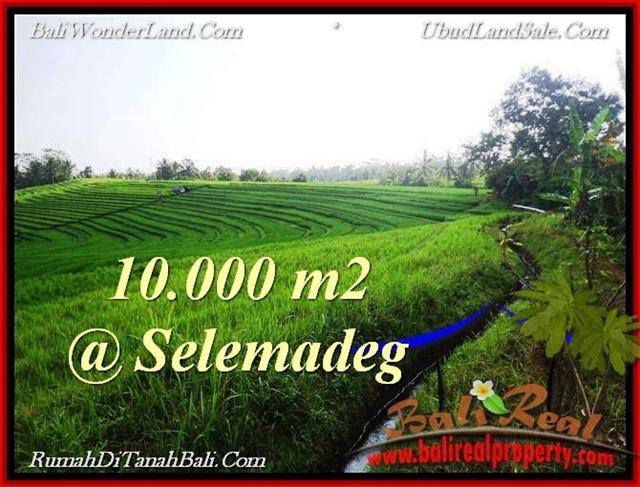 Magnificent PROPERTY 10,000 m2 LAND IN Tabanan Selemadeg FOR SALE TJTB217