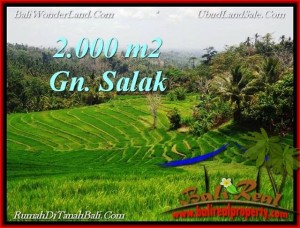 Affordable LAND SALE IN Tabanan Selemadeg BALI TJTB220