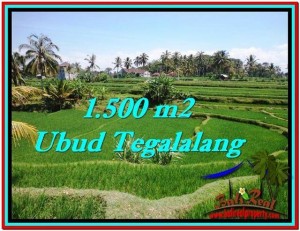Affordable PROPERTY 1,500 m2 LAND FOR SALE IN Ubud Tegalalang TJUB528