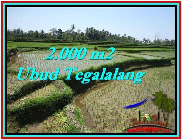 Exotic PROPERTY 2,000 m2 LAND IN Ubud Tegalalang FOR SALE TJUB529