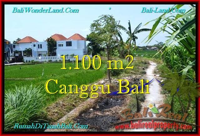 FOR SALE 1,100 m2 LAND IN Canggu Brawa BALI TJCG193