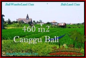 FOR SALE Exotic PROPERTY 460 m2 LAND IN CANGGU TJCG195