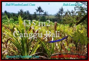 Magnificent PROPERTY 435 m2 LAND FOR SALE IN CANGGU BALI TJCG196