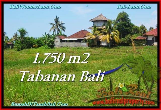 Affordable LAND SALE IN Tabanan Selemadeg BALI TJTB231