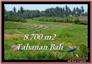 Beautiful LAND FOR SALE IN TABANAN TJTB233