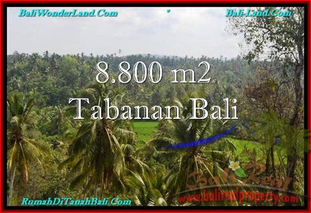 Beautiful 8,800 m2 LAND SALE IN TABANAN BALI TJTB238