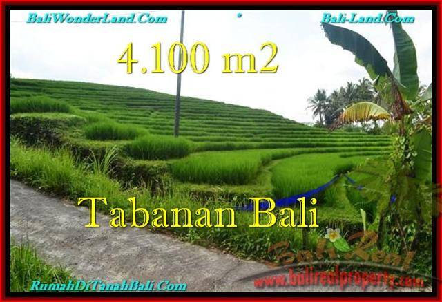 Magnificent TABANAN BALI 4,100 m2 LAND FOR SALE TJTB239