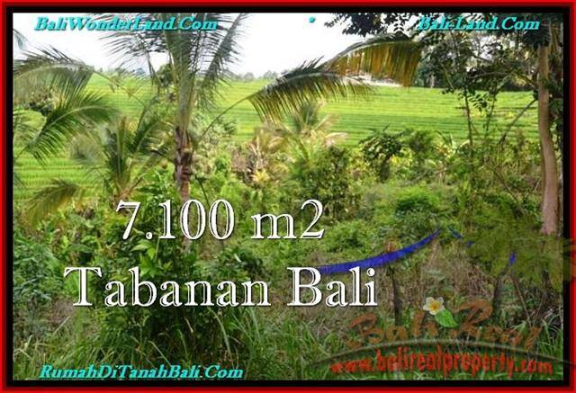 Magnificent PROPERTY 7,100 m2 LAND IN Tabanan Selemadeg FOR SALE TJTB240