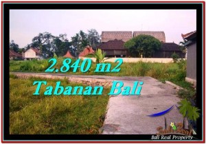 FOR SALE Exotic LAND IN Tabanan Tanah Lot BALI TJTB247