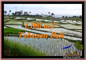 Exotic PROPERTY 1,100 m2 LAND FOR SALE IN Tabanan Selemadeg TJTB248