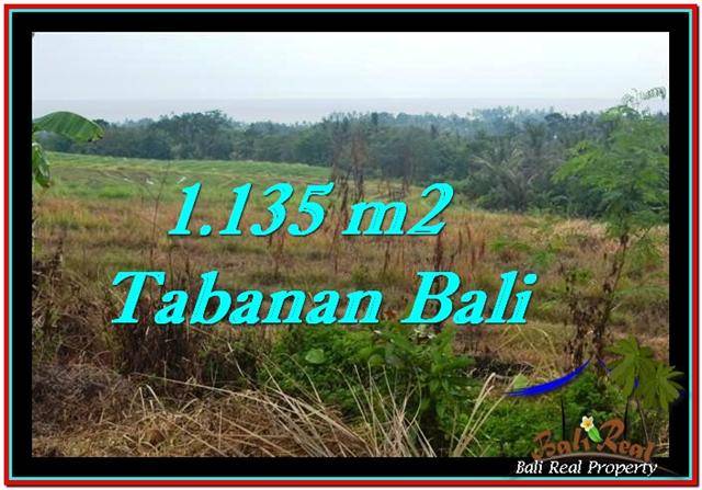 Exotic TABANAN BALI 1,135 m2 LAND FOR SALE TJTB253