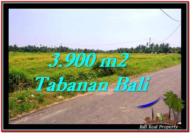 Exotic PROPERTY 3,900 m2 LAND FOR SALE IN Tabanan Selemadeg TJTB258
