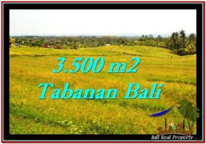 Exotic TABANAN BALI 3,500 m2 LAND FOR SALE TJTB259