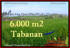 Exotic 6,000 m2 LAND IN TABANAN BALI FOR SALE TJTB267