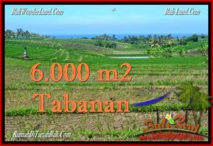 Magnificent TABANAN BALI 6,000 m2 LAND FOR SALE TJTB268