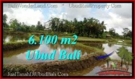 Affordable PROPERTY 6,100 m2 LAND SALE IN Ubud Pejeng TJUB547