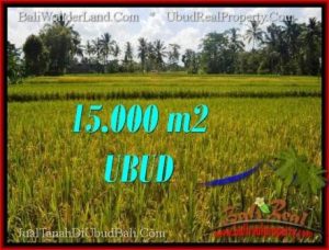FOR SALE Magnificent 15,000 m2 LAND IN UBUD BALI TJUB551
