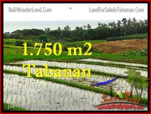 Beautiful PROPERTY LAND SALE IN TABANAN TJTB264