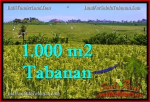 FOR SALE 1,000 m2 LAND IN TABANAN TJTB266