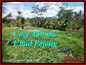 450 m2 LAND FOR SALE IN UBUD BALI TJUB535