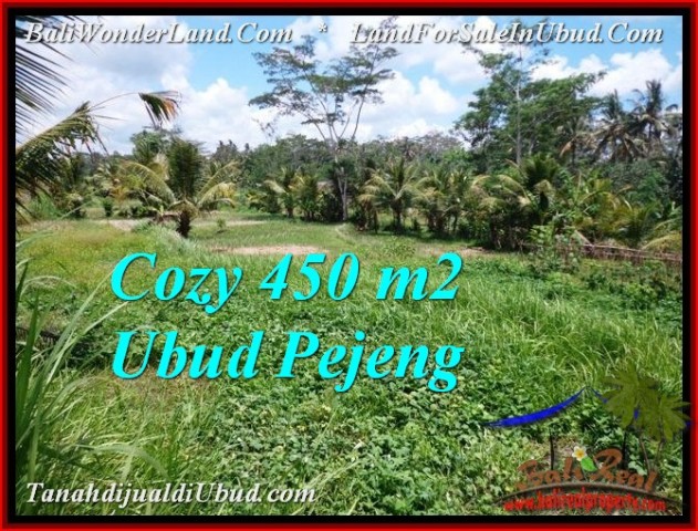 450 m2 LAND FOR SALE IN UBUD BALI TJUB535