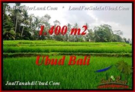 Exotic PROPERTY LAND FOR SALE IN UBUD TJUB539