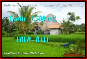 Magnificent PROPERTY UBUD BALI LAND FOR SALE TJUB541