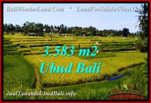Affordable PROPERTY Ubud Pejeng 3,583 m2 LAND FOR SALE TJUB542