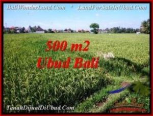 Exotic PROPERTY UBUD LAND FOR SALE TJUB545