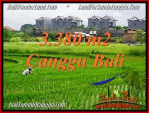 Beautiful PROPERTY LAND IN CANGGU FOR SALE TJCG199