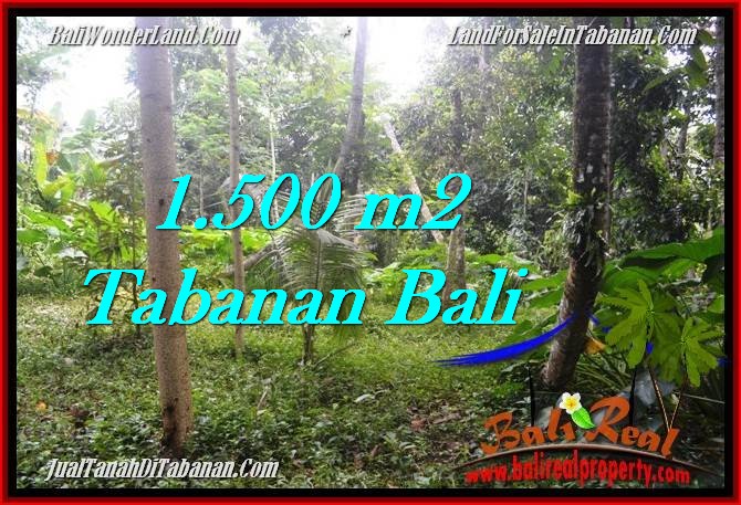 Exotic 1,500 m2 LAND IN TABANAN BALI FOR SALE TJTB279