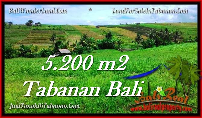Affordable LAND SALE IN Tabanan Selemadeg BALI TJTB281