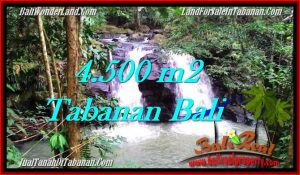 Affordable 4,500 m2 LAND IN TABANAN BALI FOR SALE TJTB283