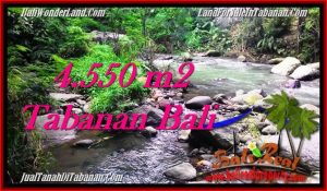 Magnificent 4,550 m2 LAND IN TABANAN BALI FOR SALE TJTB284