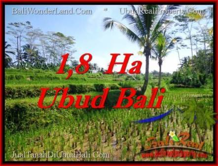 Affordable UBUD BALI 16,000 m2 LAND FOR SALE TJUB553