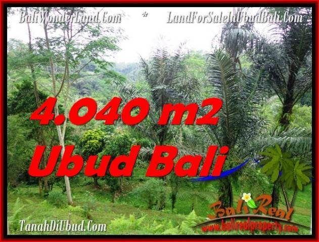 Beautiful 4,040 m2 LAND SALE IN UBUD BALI TJUB555