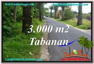 FOR SALE Magnificent LAND IN Tabanan Kerambitan BALI TJTB297