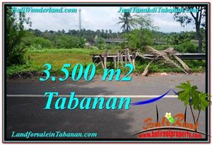 Exotic 3,500 m2 LAND FOR SALE IN TABANAN BALI TJTB298