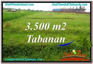 FOR SALE Exotic PROPERTY 3,500 m2 LAND IN TABANAN BALI TJTB302