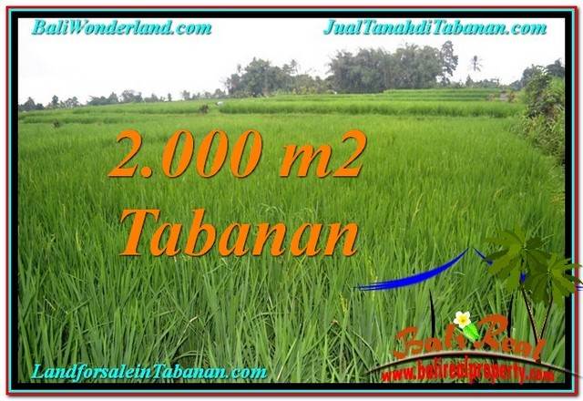 Magnificent PROPERTY 2,000 m2 LAND FOR SALE IN Tabanan Penebel TJTB303